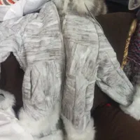 پالتو خارجی