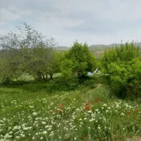 فروش-باغ