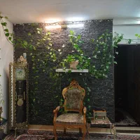 گل پتوس|گل و گیاه طبیعی|مشهد, یوسفیه (شهرک غرب)|دیوار