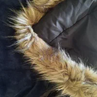 کاپشن دخترانه|کفش و لباس بچه|رشت, کوی مهر|دیوار