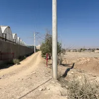 زمین ۱۵۶۰۰ متر مناسب گلخانه و باغ و انواع کشاورزی