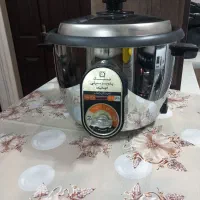 پلوپزبرقی نیک