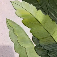 تابلو برگ استوایی|تابلو، نقاشی، عکس|شهر بابک, |دیوار