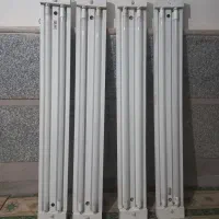 مهتابی جفتی