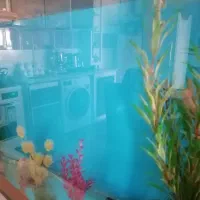 اکواریوم سالم بادرب چوبی وگلهای تزیینی وسنگ|ماهی|نیشابور, باغرود|دیوار