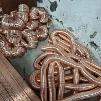 نیازمند کارگر  خانم وآقا  جهت فنر پیجی