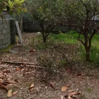 زمین بافت مسکونی درپلسرا