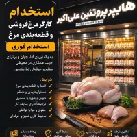 استخدام کارگر مرغفروشی و قطعهبندی مرغ