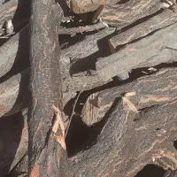 انواع چوب خریدارم