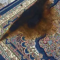 فرش شش متری وکناره|فرش|کرمانشاه, |دیوار