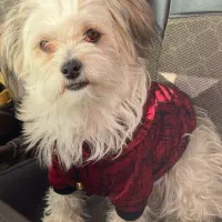 در مسکن مهر گم شده-مژدگانی داده میشود