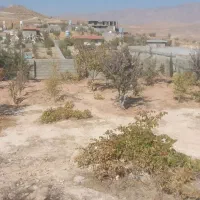 باغ شهری|فروش خانه و ویلا|شیراز, مجتمع شهید پرویزی|دیوار