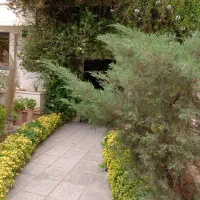 آپارتمان3خواب خ قصرالدشت (رحمت اباد)