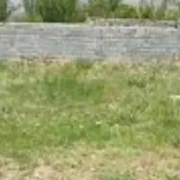 فروش-فوری-زمین-پانصد-متری-حصار-داردر-سعید-اباد