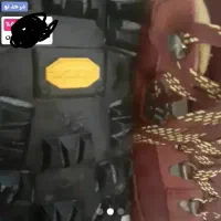 نیم بوت حرفه ای|کیف، کفش، کمربند|لاهیجان, حزین|دیوار