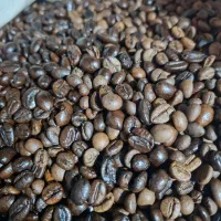 دون قهوه ۷۰*۳۰میکس فول کافئین|عمدهفروشی|قم, مهدیه|دیوار