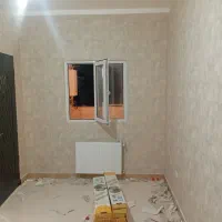 نصب کاغذ دیواری|خدمات پیشه و مهارت|رشت, نظری|دیوار