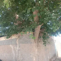 ۲۰۰متر ویلایی باغی