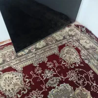 تلویزیون