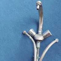 شیر سرویس بهداشتی