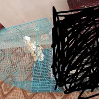 قفس بزرگ