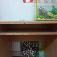 میز|میز تحریر و کامپیوتر|سهند, |دیوار