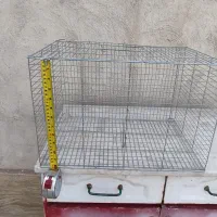دو عدد قفس پرنده