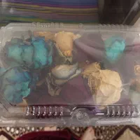 گل خشک|صنایع دستی و سایر لوازم تزئینی|آبیک, |دیوار