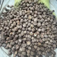 گردو امساله|خوردنی و آشامیدنی|دامغان, |دیوار