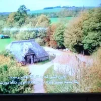 تلویزیون هوشمند 50 اینچ سونیا د