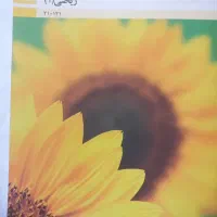 دو سری کامل کتاب پایه دهم ساختمان شاخه فنی حرفه ای
