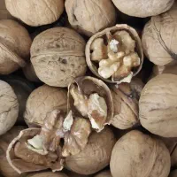 گردو بادام زمینی بادام درختی مغز گردو مویز کشمش|خوردنی و آشامیدنی|قم, باسکول|دیوار