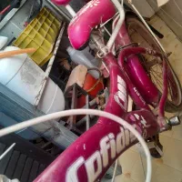 دوچرخه ۱۲ کافریدیس بچگانه ونونهالانه|دوچرخه، اسکیت، اسکوتر|ملارد, |دیوار