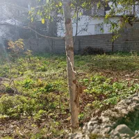فروش زمین سند تک برگ بلوار زکی محله