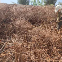 ضایعات آهن کهنه.آلمینیوم.میبگرد.مس|عمده‌فروشی|شیراز, زرهی|دیوار