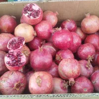 انار انار|خوردنی و آشامیدنی|مشهد, آزادشهر|دیوار