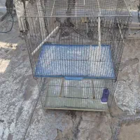 قفس پرنده