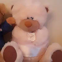 دوتا خرس خارجی پولیشی|اسباببازی بچه|تهران, درب دوم|دیوار