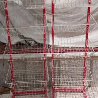 استند مناسب چیپس و پفک سالم و تمیز