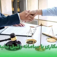 همکاری وکیل با سامانه وکیل نخبه