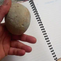 سنگ اسیاب ابی|کلکسیون اشیاء عتیقه|نظرآباد, رسالت|دیوار