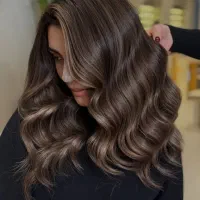 دستیار رنگ لایت