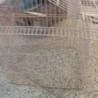 قفس قیمت 400|لوازم جانبی حیوانات|سنندج, |دیوار