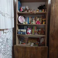 قفسه کتاب ( دوعدد)