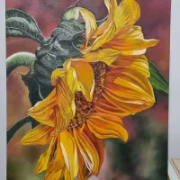 آموزش خصوصی و نیمه خصوصی نقاشی و طراحی ویژه بانوان