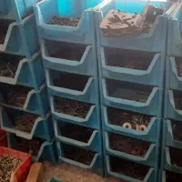 فروش انواع پیچ و مهره