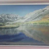 پرده شید رول