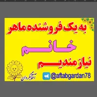 نیازمنده فروشنده حرفه ای با حقوق بالا