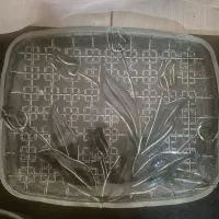 دیس چینی مخصوص میوه