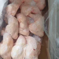 مرغ وارداتی